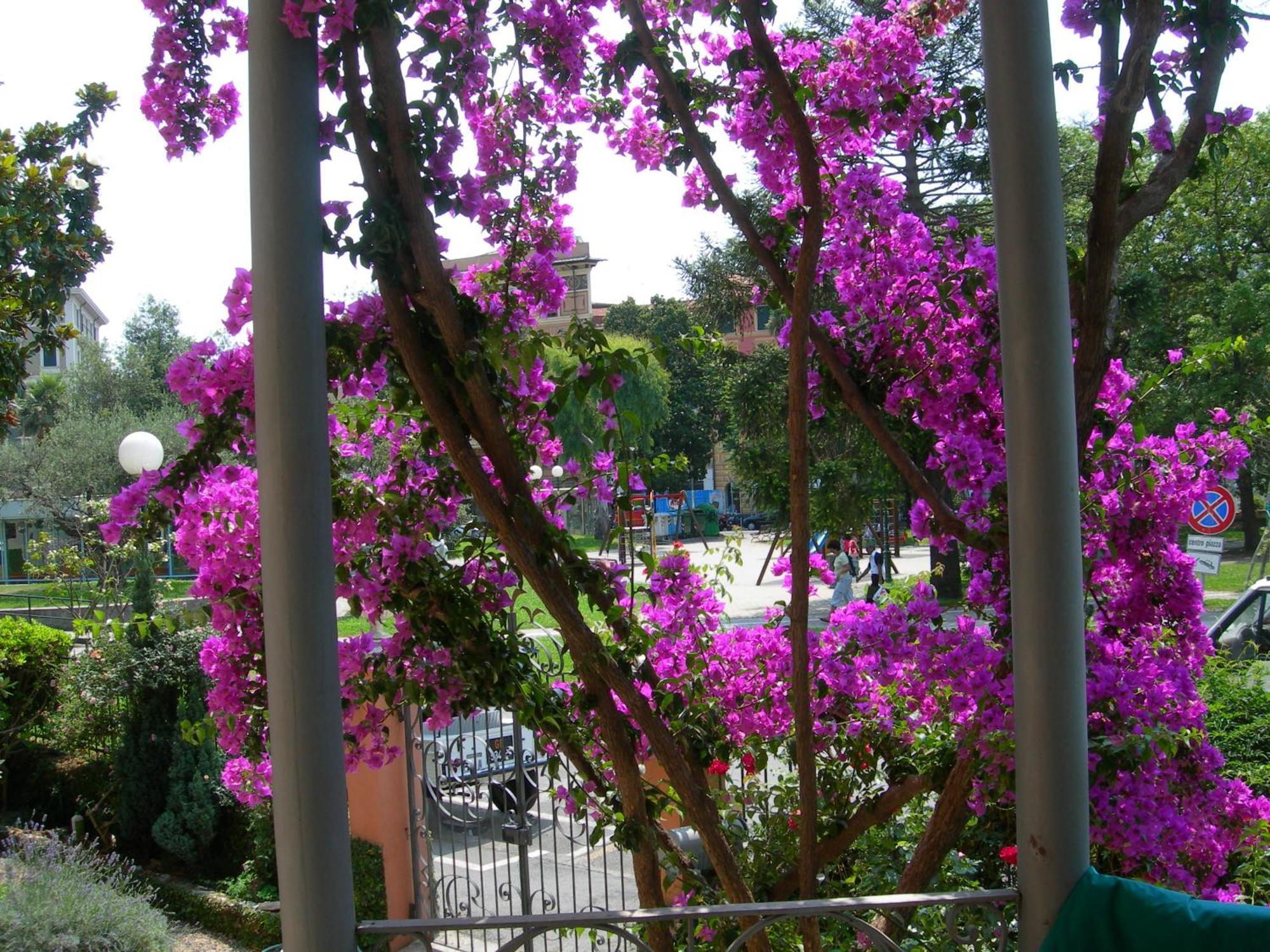 La Casa Dei Paggi Bed and Breakfast Sestri Levante Buitenkant foto